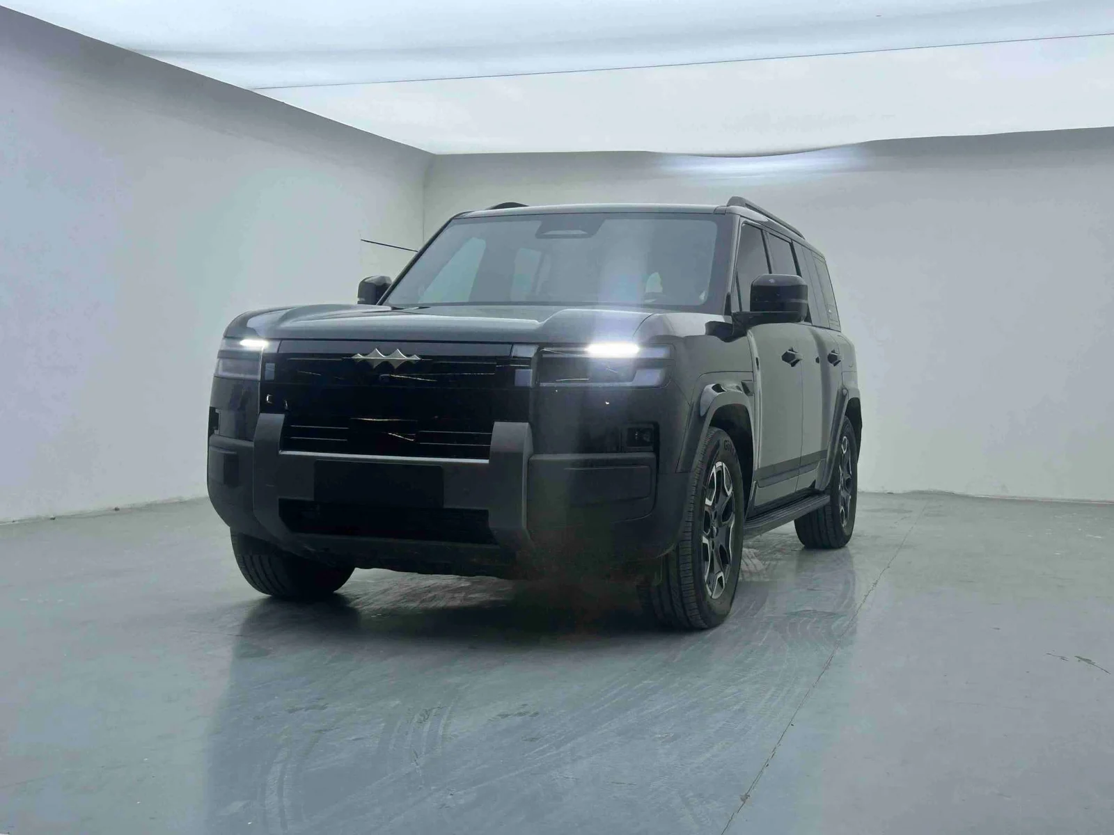Fangchengbao Tai 7 2WD Max supplied vehicle photograph 1