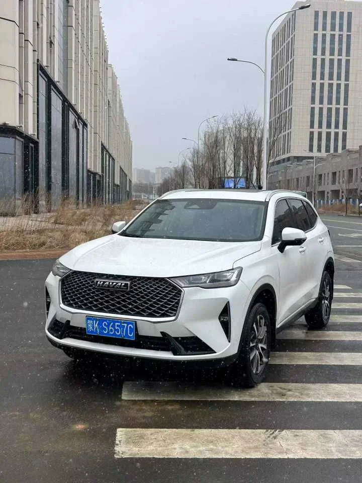 Haval H6 1.5T Pro supplied vehicle photograph 1
