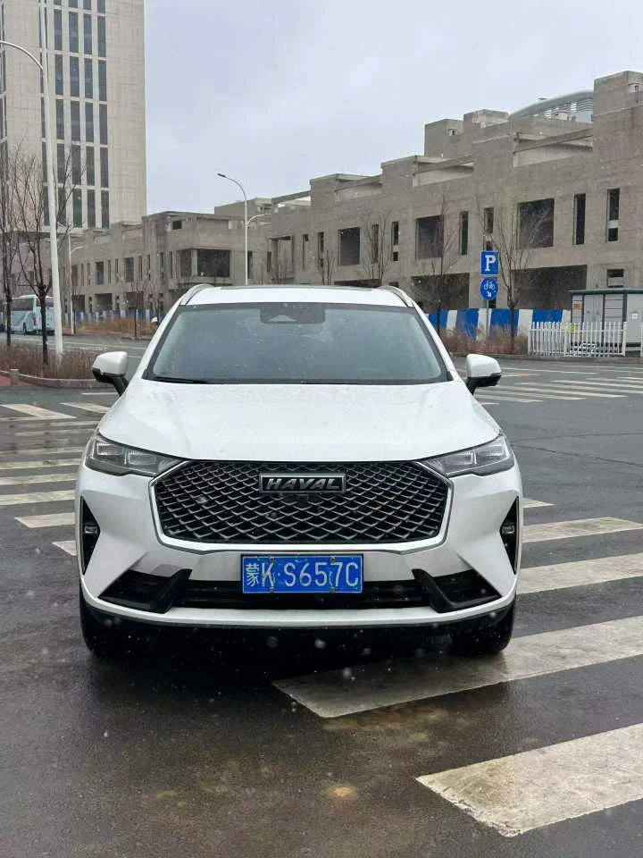 Haval H6 1.5T Pro supplied vehicle photograph 2