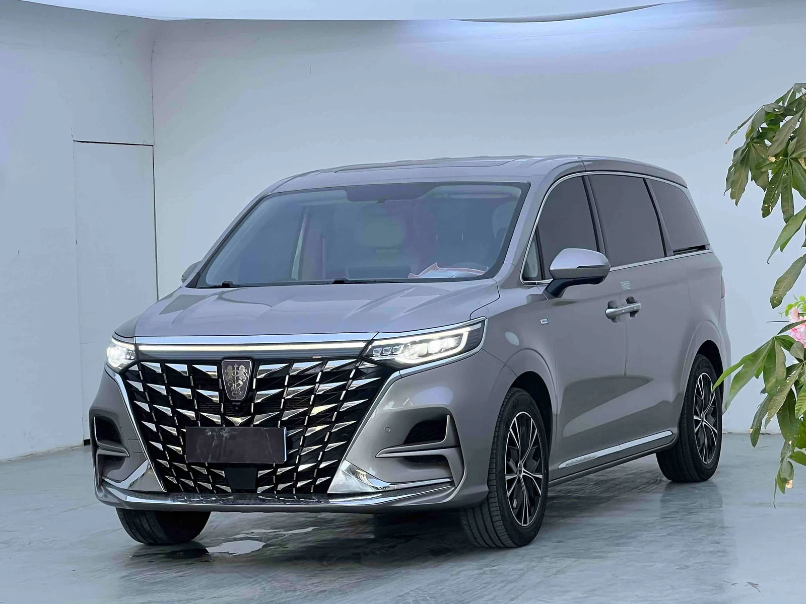 Roewe iMAX8 supplied vehicle photograph 1